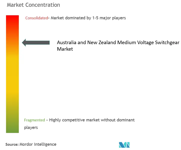 Australia And New Zealand Medium Voltage Switchgear Market Concentration