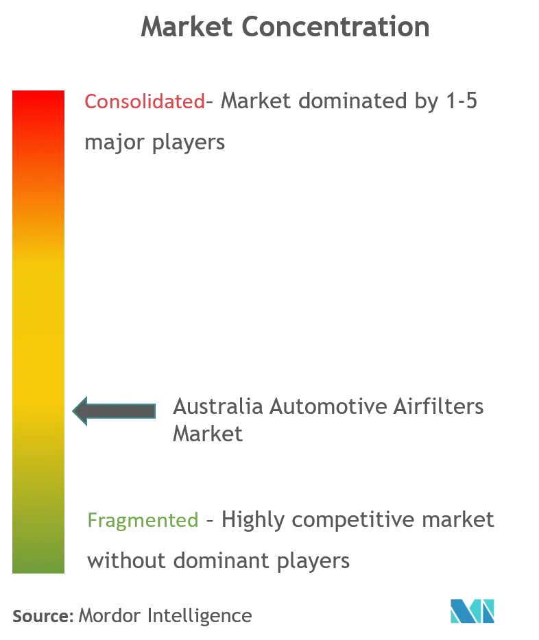 Australia Automotive Airfilters Market_Market Concentration.png