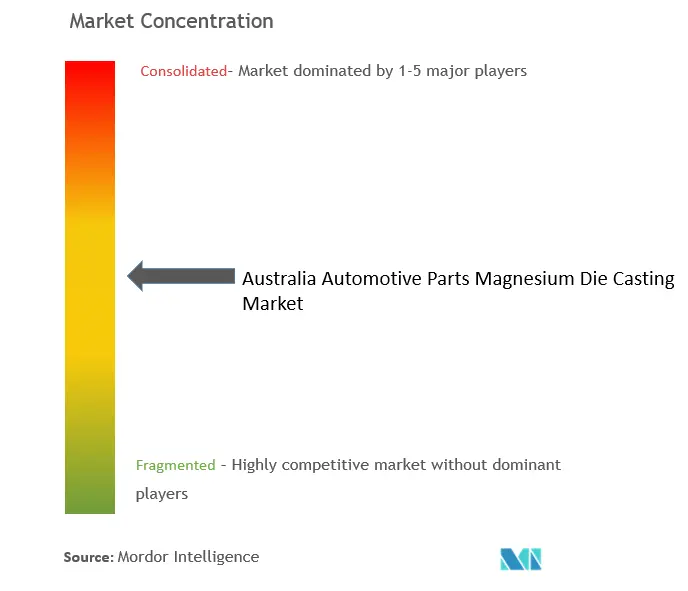 Australia Automotive Parts Magnesium Die Casting Market Concentration