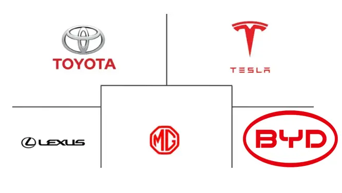  Australia Electric Vehicle Market Major Players