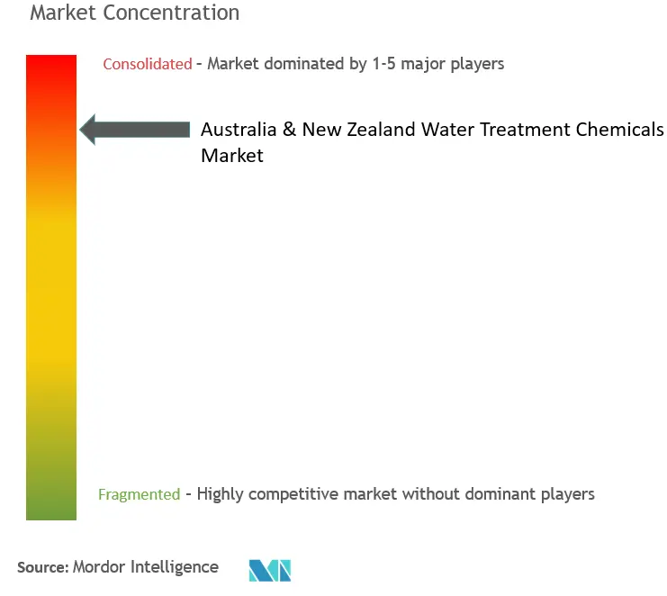 Australia & New Zealand Water Treatment Chemicals Industry Concentration