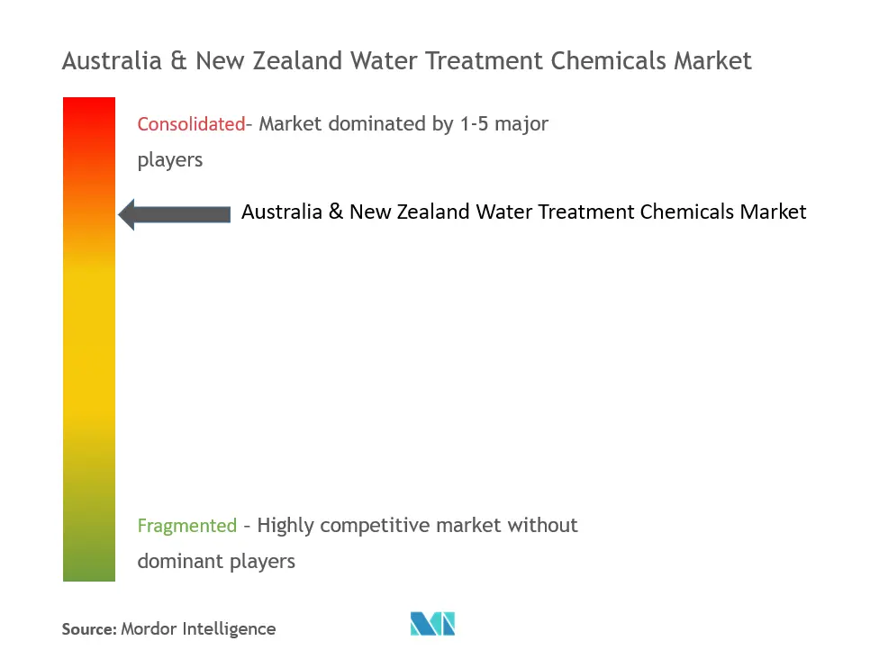 Australia & New Zealand Water Treatment Chemicals Industry Market Concentration