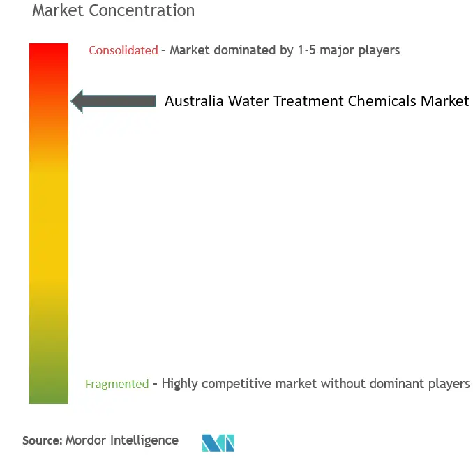 Australia Water Treatment Chemicals Market Concentration