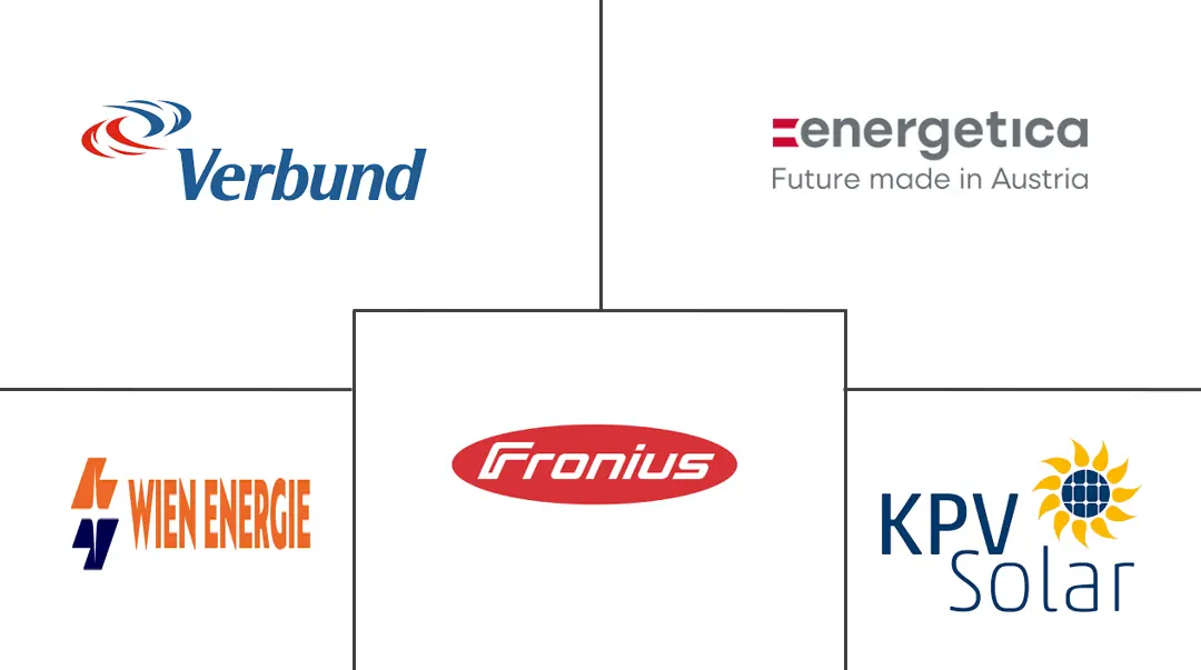 오스트리아 바카라 룰 에너지 산업의 주요 참여자