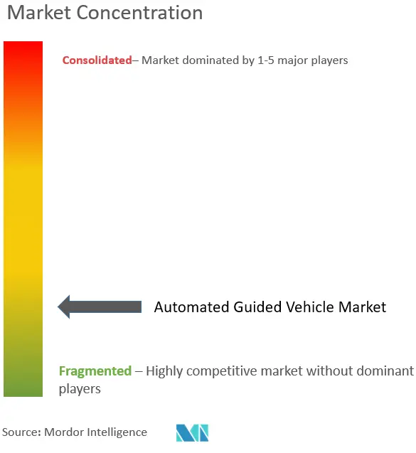 Automated Guided Vehicle Market Concentration