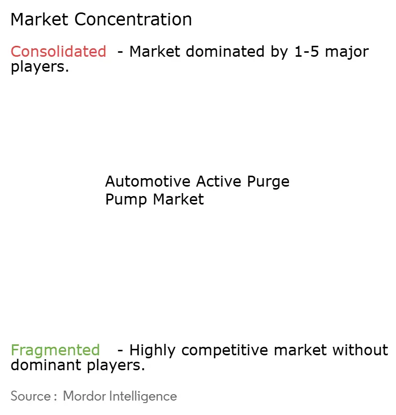 Automotive Active Purge Pump Market Concentration
