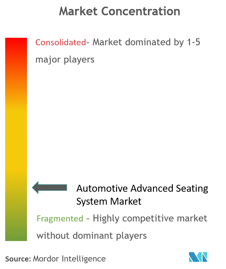 Automotive Advanced Seating System Market Concentration