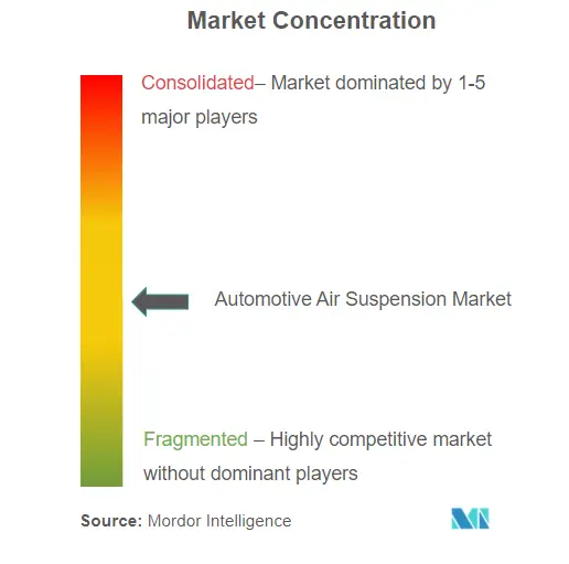 Automotive Air Suspension Market Concentration