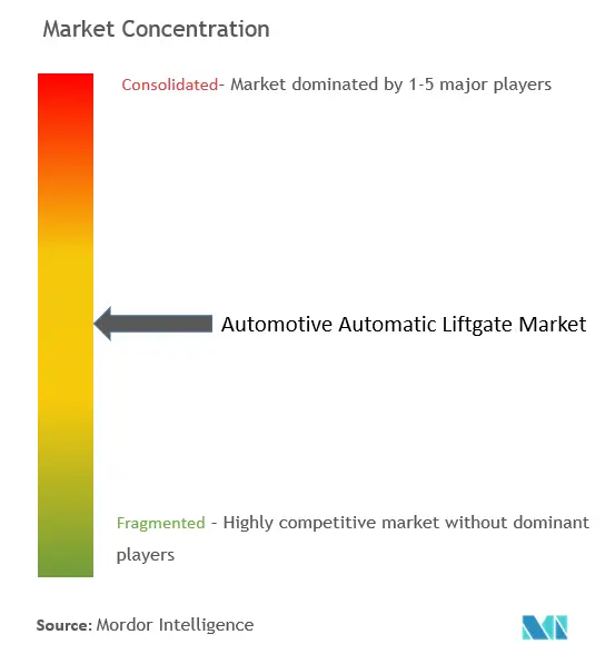 Концентрация рынка автомобильных автоматических подъемных ворот