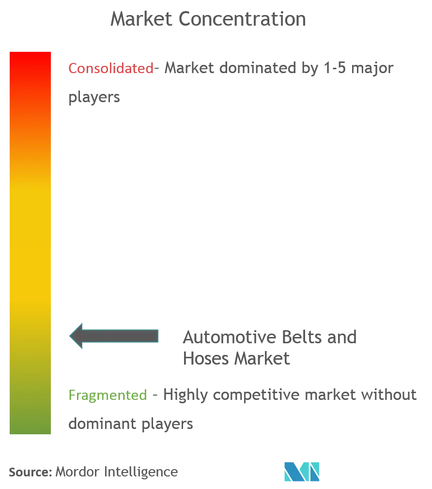 Automotive Belts and Hoses Market Concentration