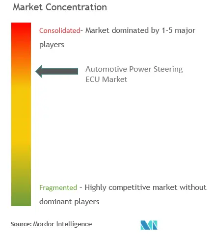 JTEKT, NSK Ltd., ZF TRW, Nexteer Automotive, Tập đoàn Bosch