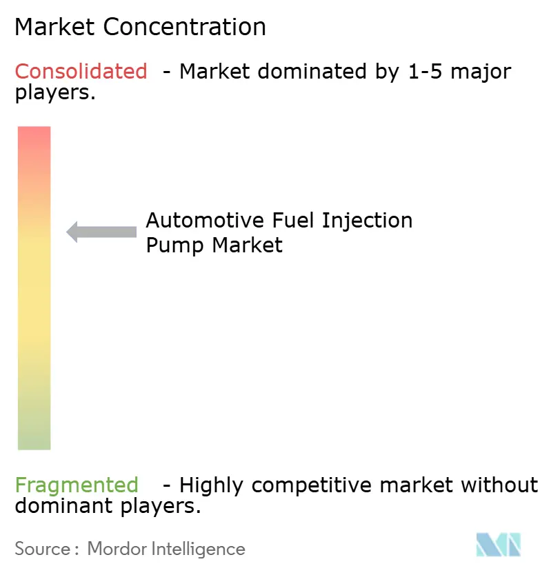 Automotive Fuel Injection Pump Market Concentration
