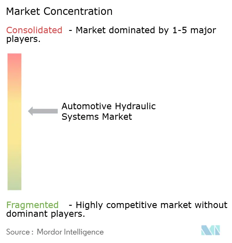 Automotive Hydraulic Systems Market Concentration