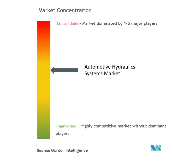 Automotive Hydraulic Systems Market Concentration