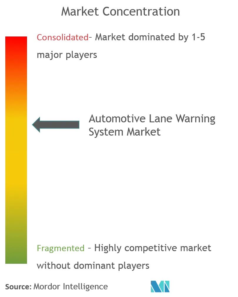 Automotive Lane Warning Systems Market Concentration