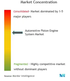 Automotive Piston System Market Concentration