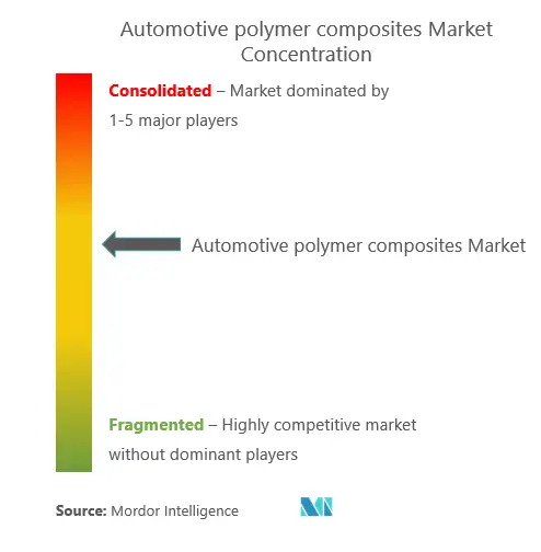 Compuestos de polímeros para automociónConcentración del Mercado