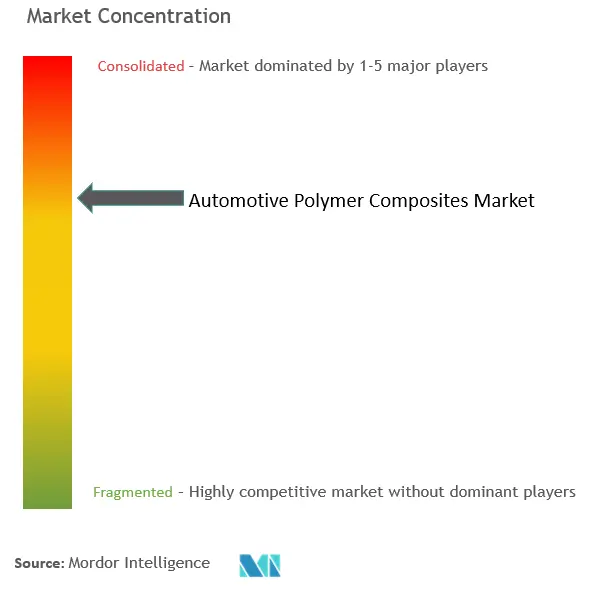 Automotive Polymer Composites Market Concentration