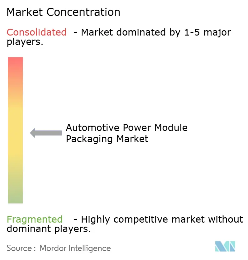 Automotive Power Module Packaging Market Concentration