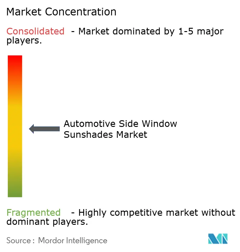 Automotive Side Window Sunshades Market Concentration