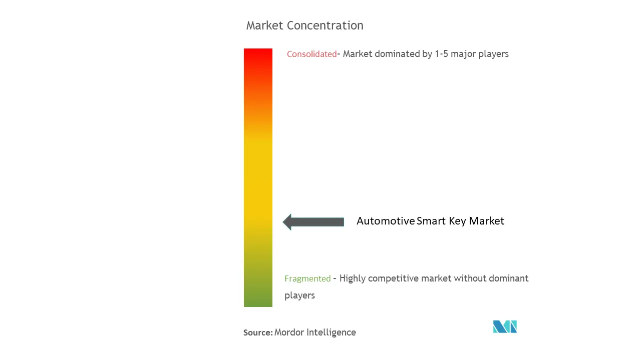 Automotive Smart Key Market Concentration