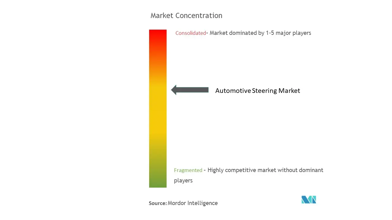 Automotive Steering Market Concentration