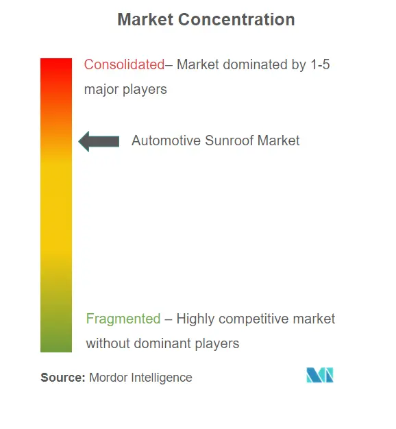 Automotive Sunroof Market Concentration