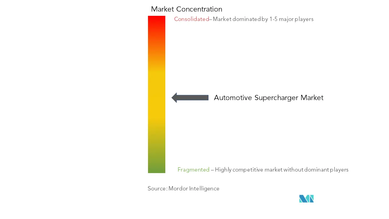Automotive Supercharger Market Concentration