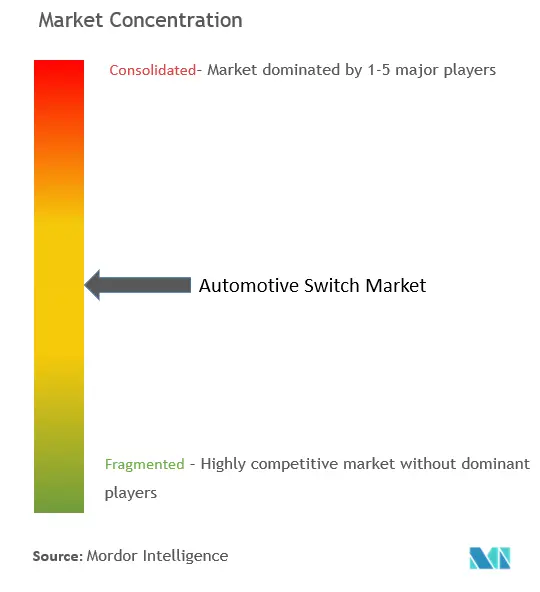 Automotive Switch Market Concentration