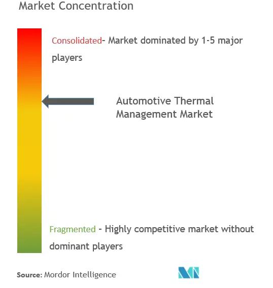 Market Concentration- Automotive Thermal Management Market.png