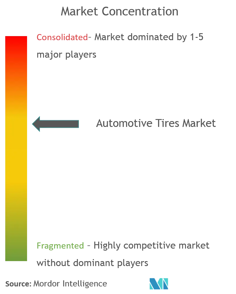 Bridgestone Corp., Continental Automotive AG, Cooper Tire & Rubber Company, Goodyear Tire & Rubber Company, Hankook Tires Group, Michelin Tires, MRF,  Pirelli & C SpA, Apollo Tires, Yokohama Rubber Co. Ltd