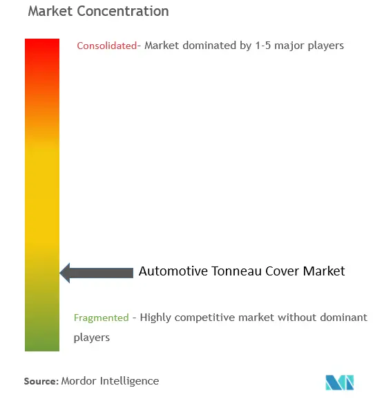 Thị trường ô tô Tonneau tập trung