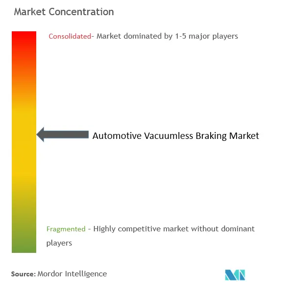 Automotive Vacuumless Braking Market Concentration