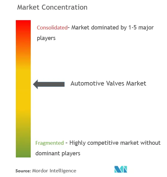 Automotive Valves Market Concentration