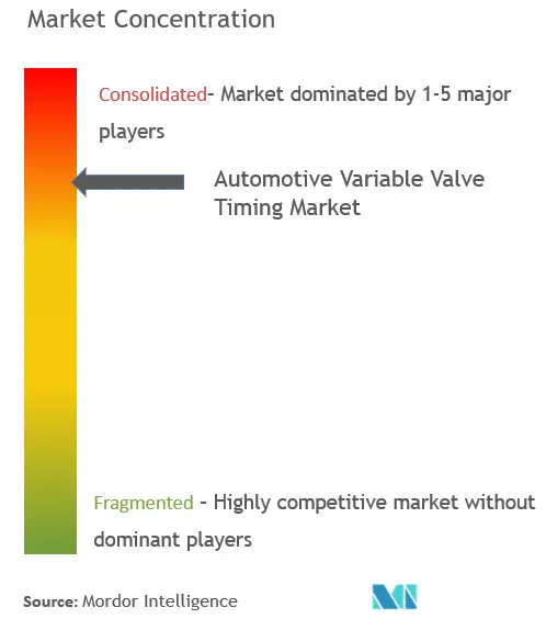 Sincronización variable de válvulas para automóvilesConcentración del Mercado