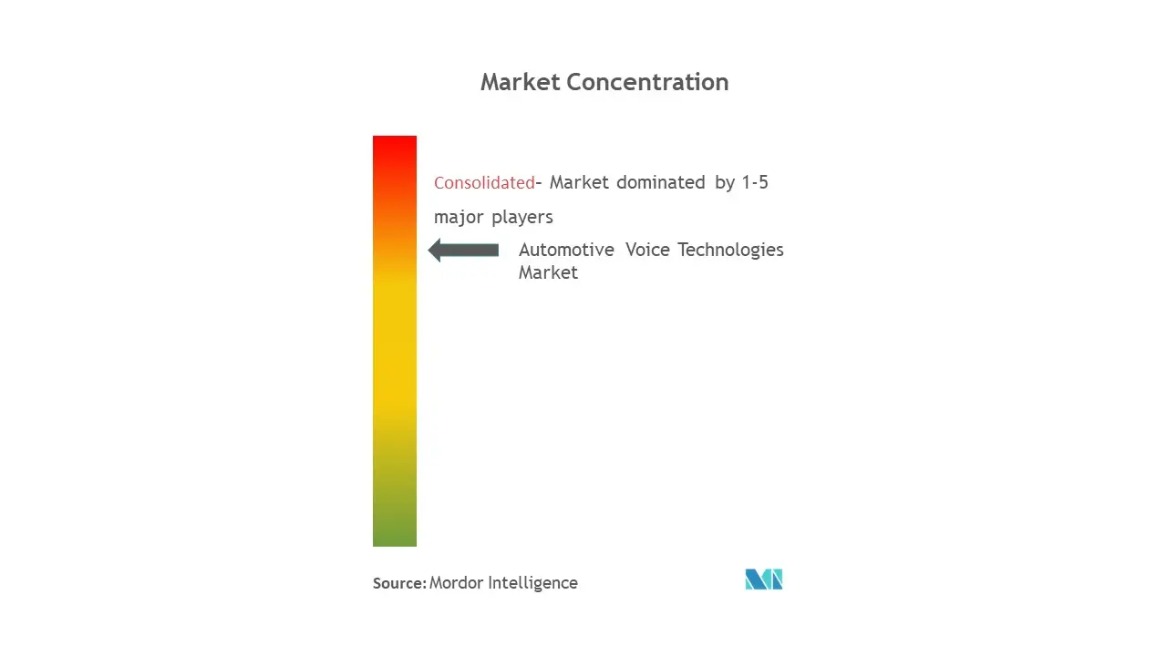 Automotive Voice Recognition System-Market Concentration.jpg