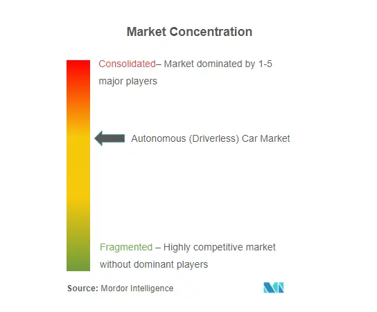 Autonomous Driverless Cars Market Concentration