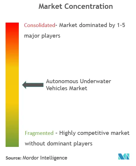 Autonomous Underwater Vehicles Market Concentration