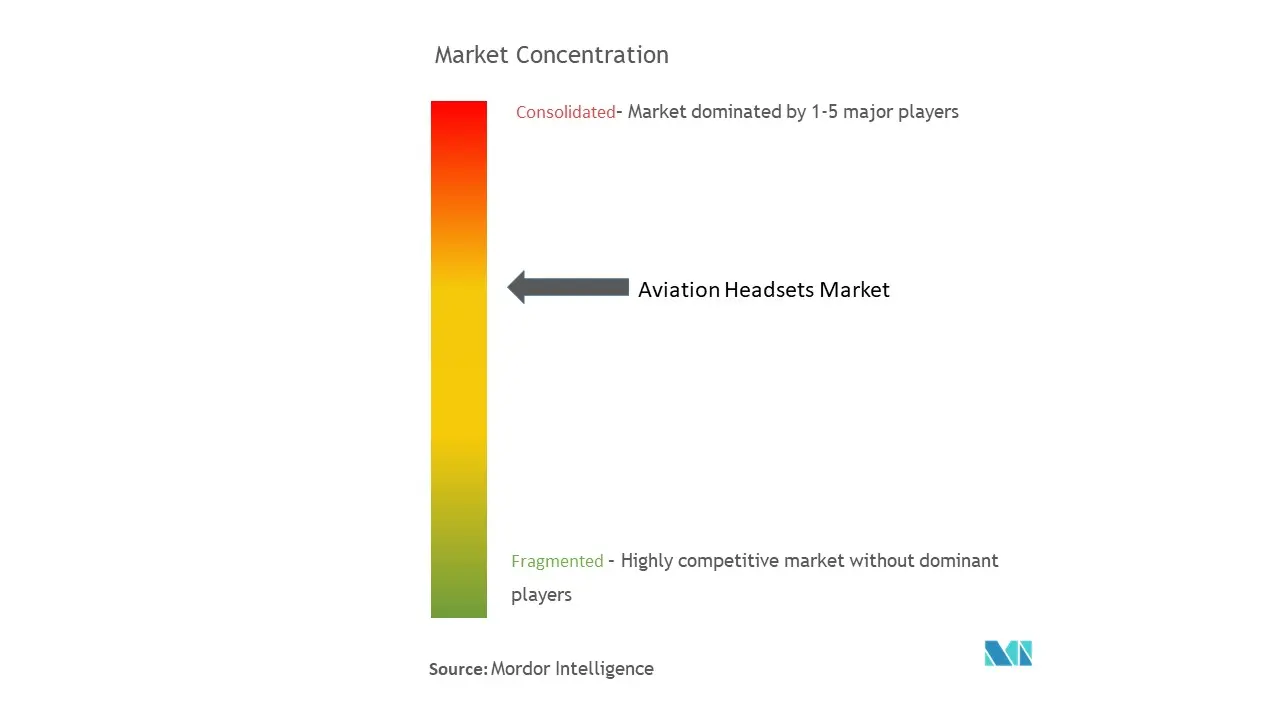 Aviation Headsets Market Concentration