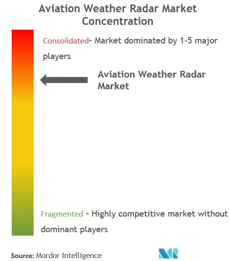 Aviation Weather Radar Market Concentration