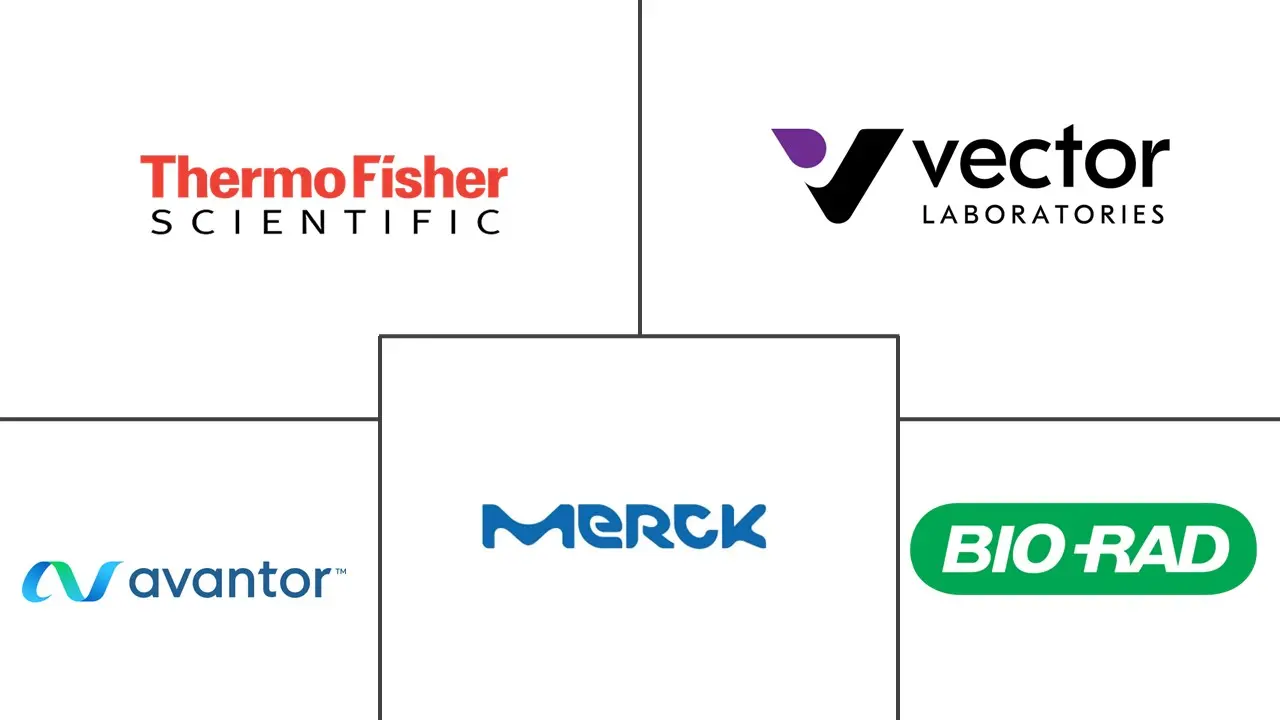 Major players in Avidin industry