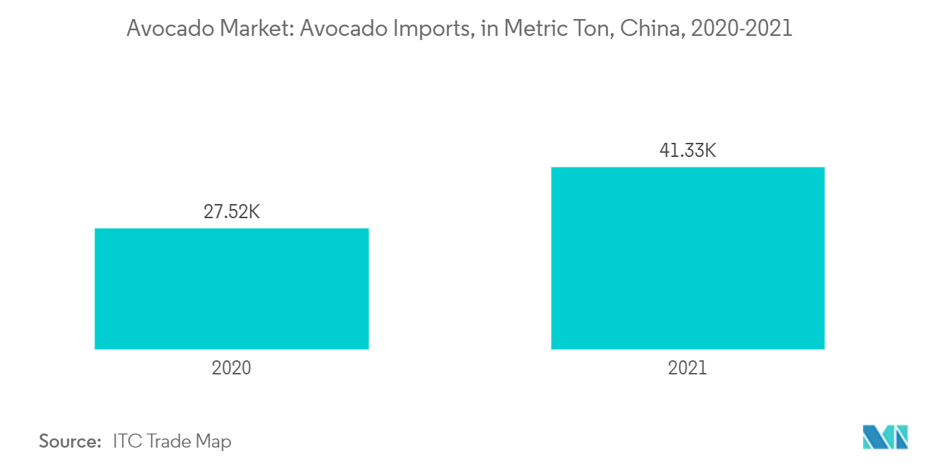 Avocado Market: Avocado Imports, in Metric Ton, China, 2019-2021