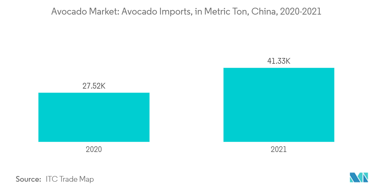 アボカド市場アボカドの輸入（メートルトン）、中国、2019-2021年