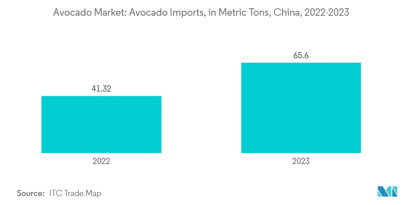 アボカド市場アボカド輸入量（メートルトン）、中国、2022-2023年