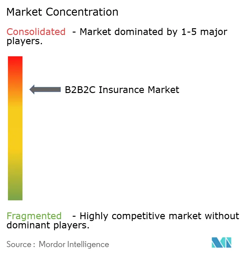 B2B2C Insurance Market Concentration