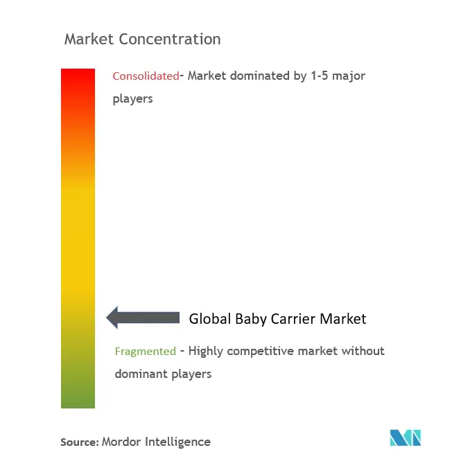 Baby Carrier Market Concentration