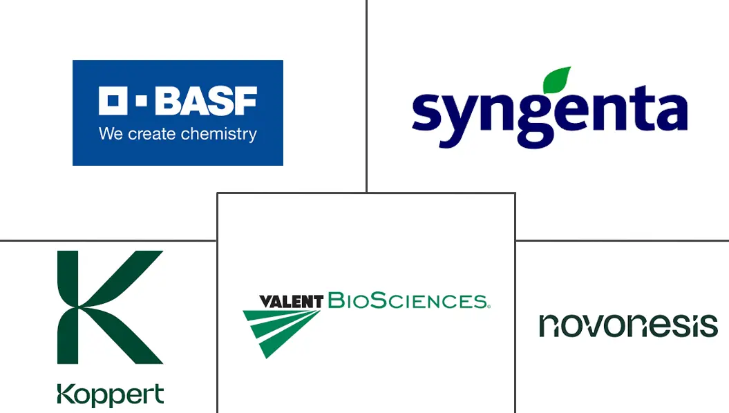 Related Companies Logo