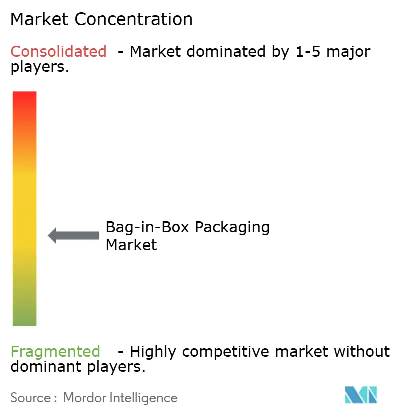 Bag-in-Box Packaging Market Concentration
