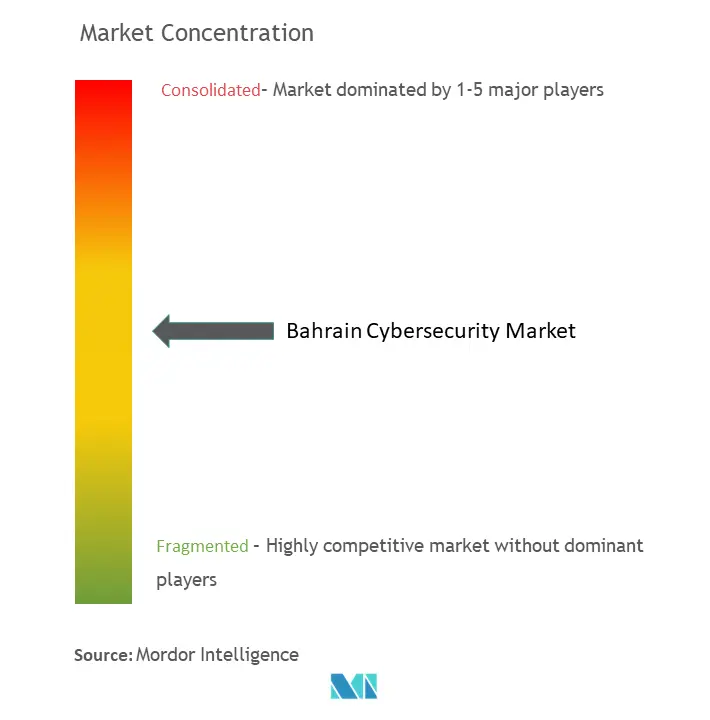 Bahrain Cybersecurity Market Concentration