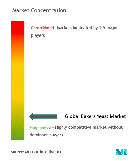 Bakers Yeast Market Concentration